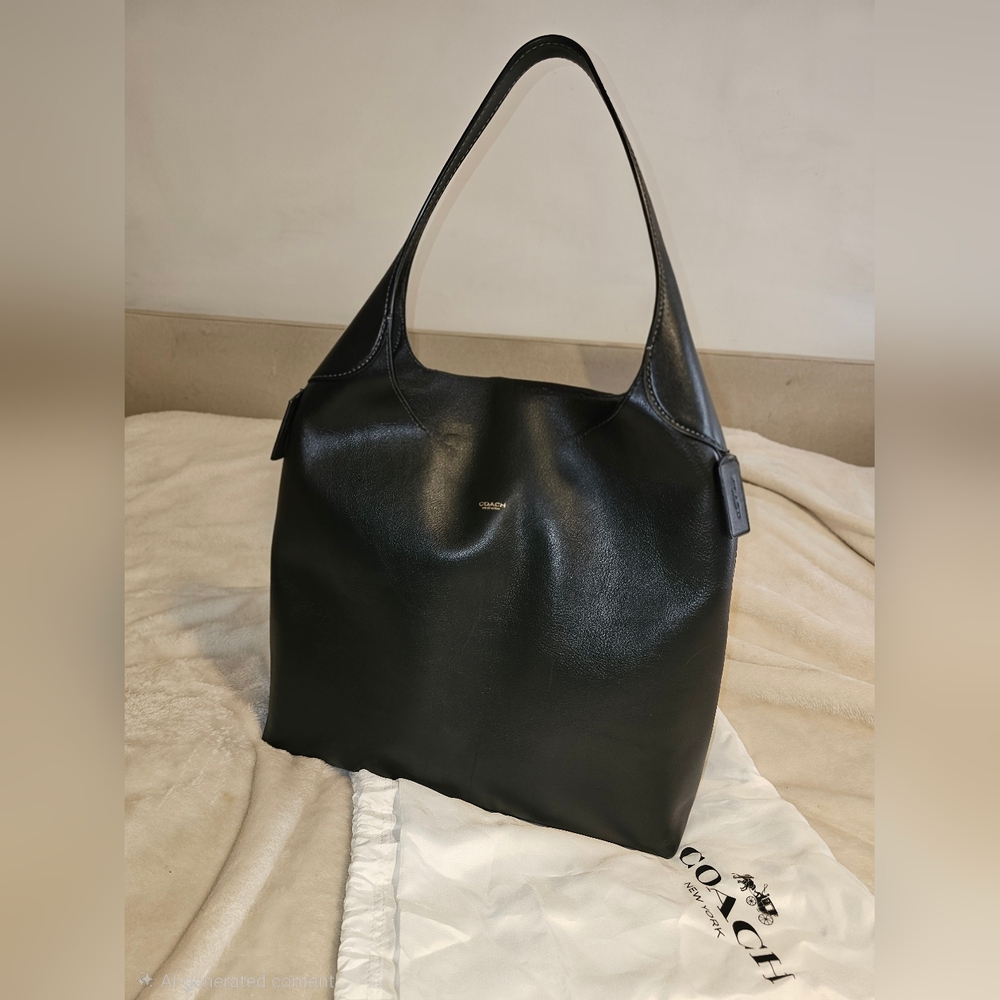 Coach Brookyln 39 Hobo Bag